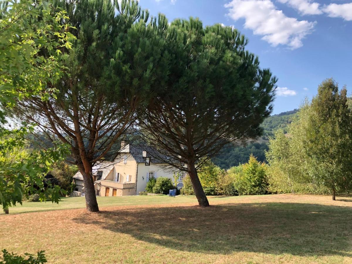 Le Clos St Georges Entraygues-sur-Truyère Exterior foto